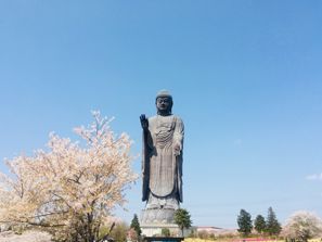 Leie bil Ushiku (Ibaraki), Japan
