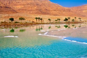 Leie bil Dead Sea, Jordan